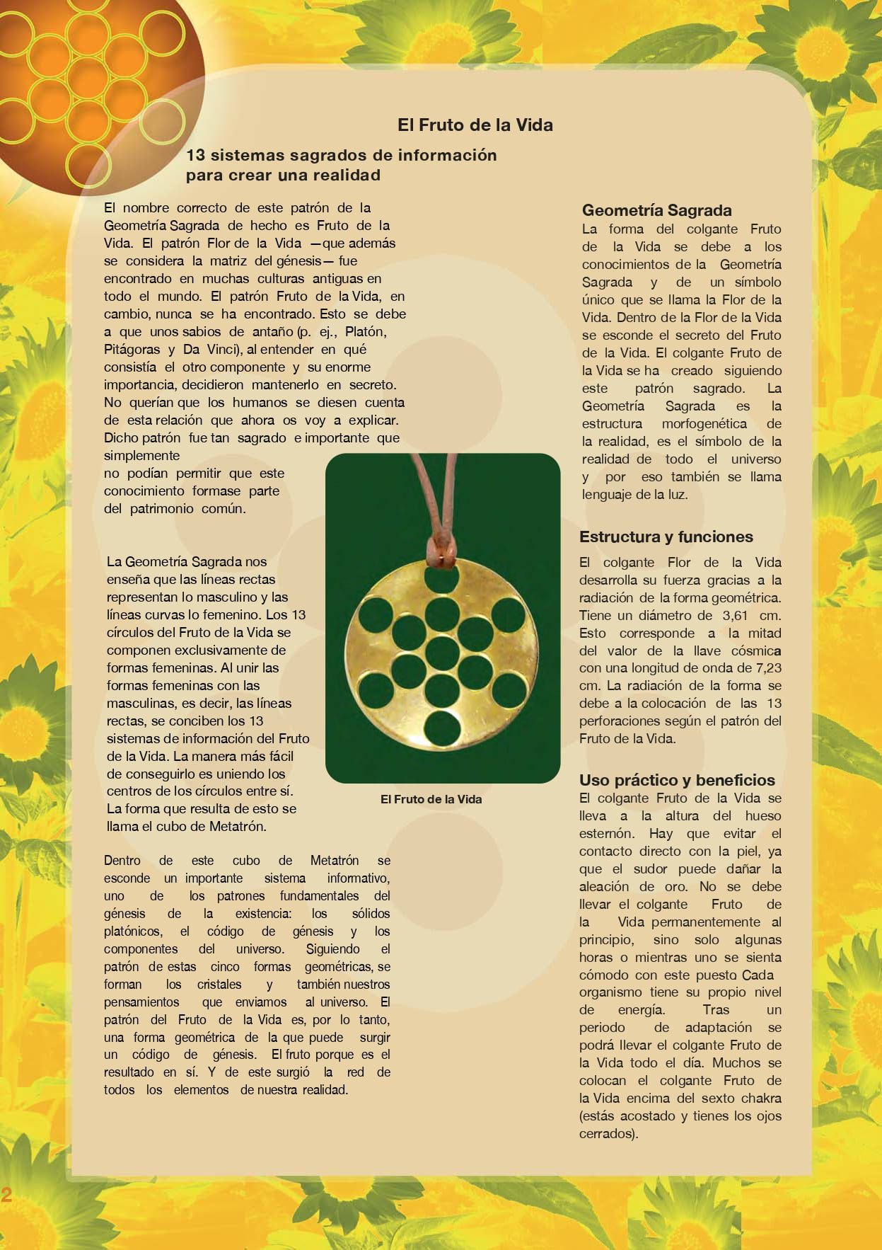 fruto-de-la-vida-pdf-descripcion-1