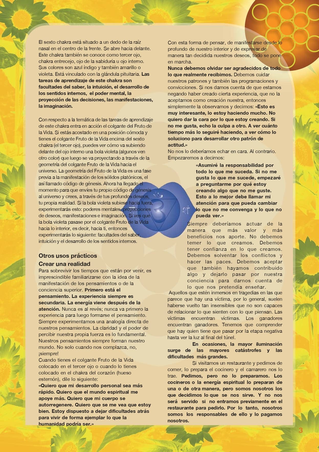 fruto-de-la-vida-pdf-descripcion-2