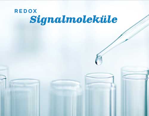 Redox-Signal-Molekuele